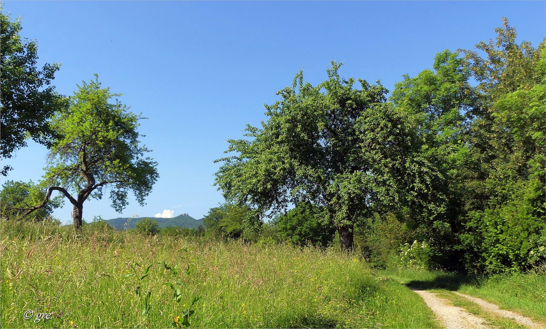 Unterwegs an einem Sommertag***