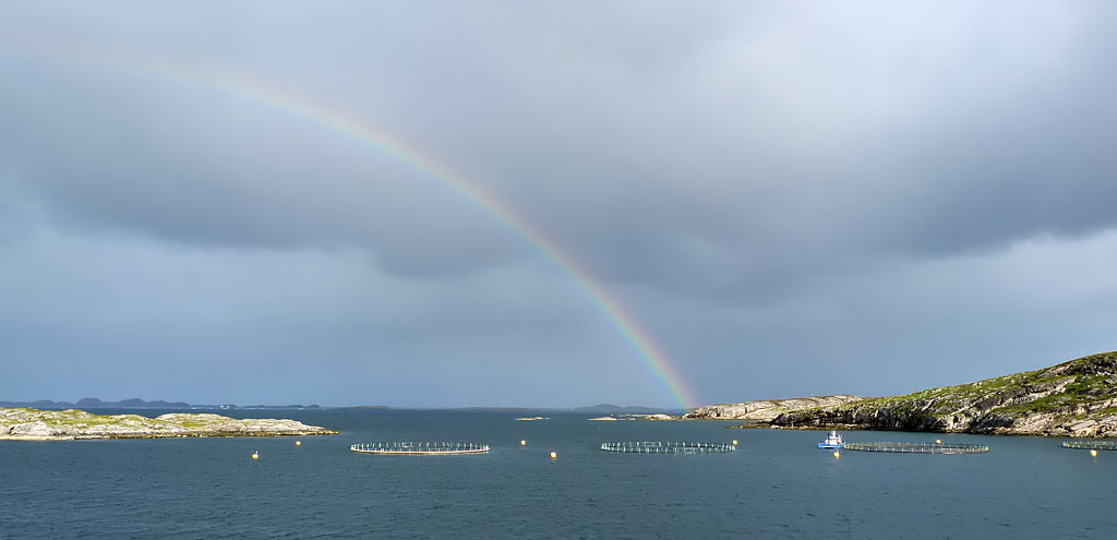 unterwegs: Aquakulturen unterm Regenbogen