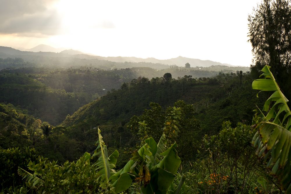 ...unterwegs auf Bali