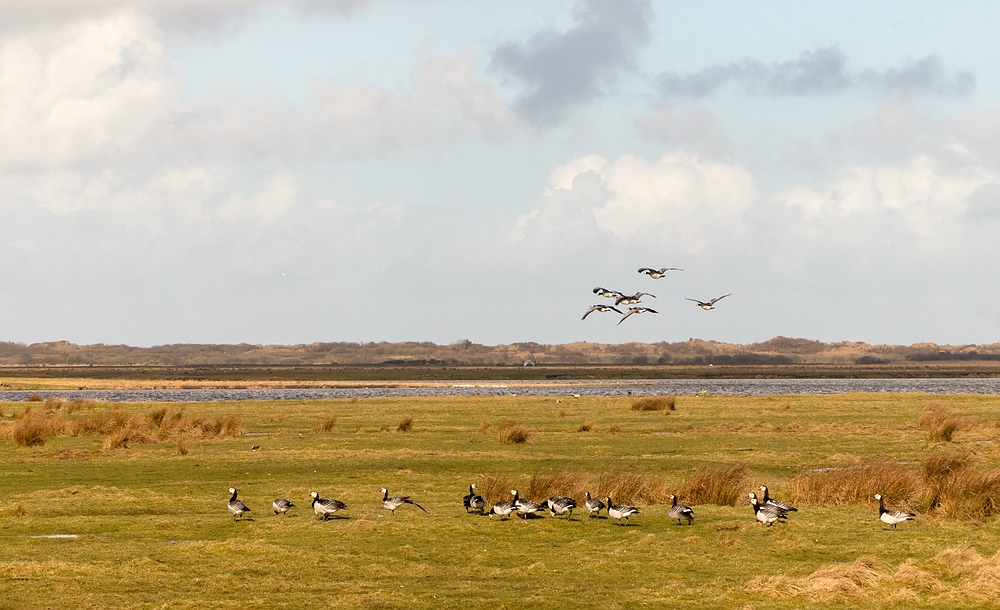 Unterwegs auf Borkum