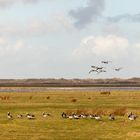 Unterwegs auf Borkum