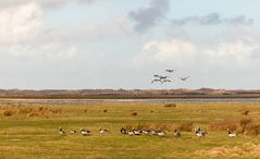 Unterwegs auf Borkum