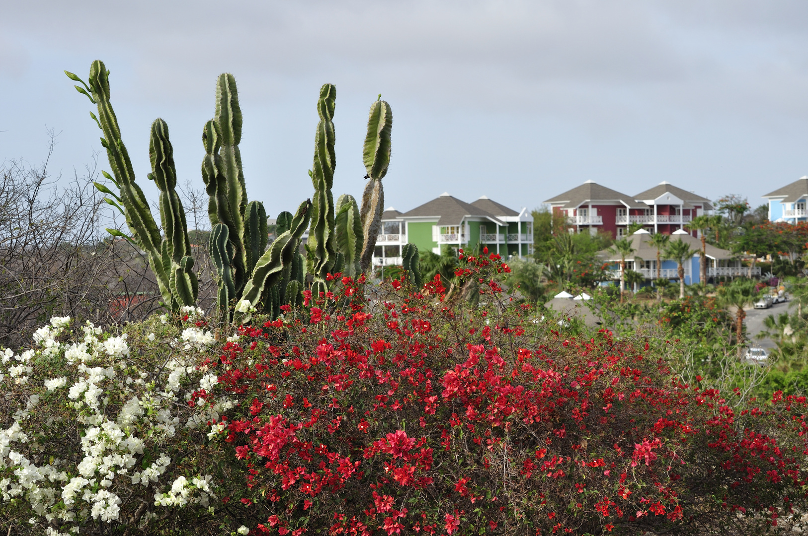 Unterwegs auf Curacao