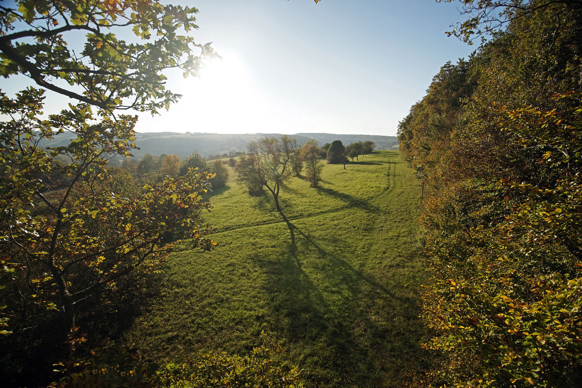 Unterwegs auf dem Bliesgau-Tafelweg