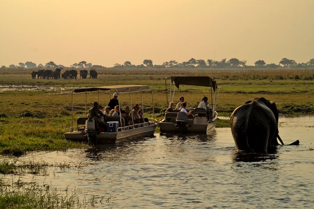 Unterwegs auf dem Chobe