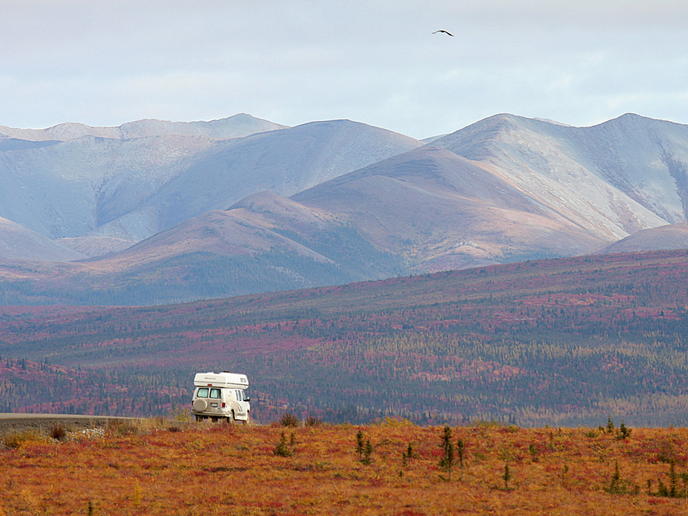 Unterwegs auf dem Dempster-Highway