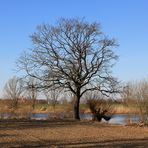 Unterwegs auf dem Elbe-Radweg