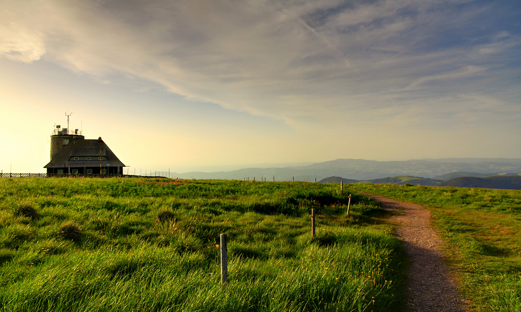 Unterwegs auf dem Feldberg im Schwarzwald