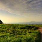 Unterwegs auf dem Feldberg im Schwarzwald