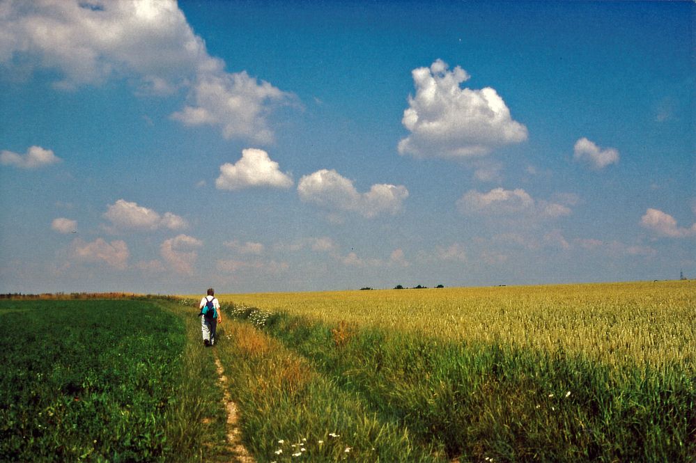 Unterwegs auf dem Jakobsweg