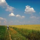 Unterwegs auf dem Jakobsweg