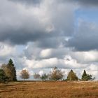 Unterwegs auf dem Kahlen Asten.