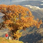 Unterwegs auf dem Keschtenweg