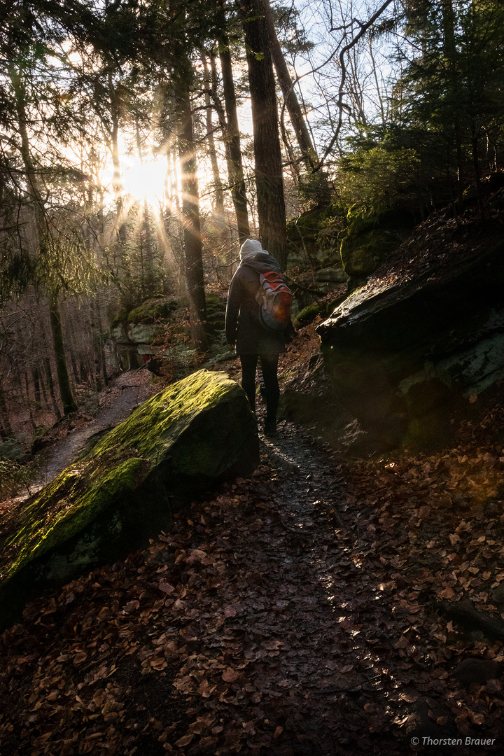 Unterwegs auf dem Kirkeler Felsenpfad