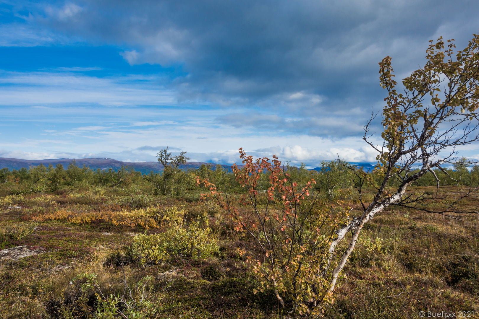 unterwegs auf dem Njakajaure-Trail (© Buelipix)