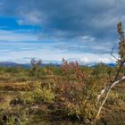 unterwegs auf dem Njakajaure-Trail (© Buelipix)