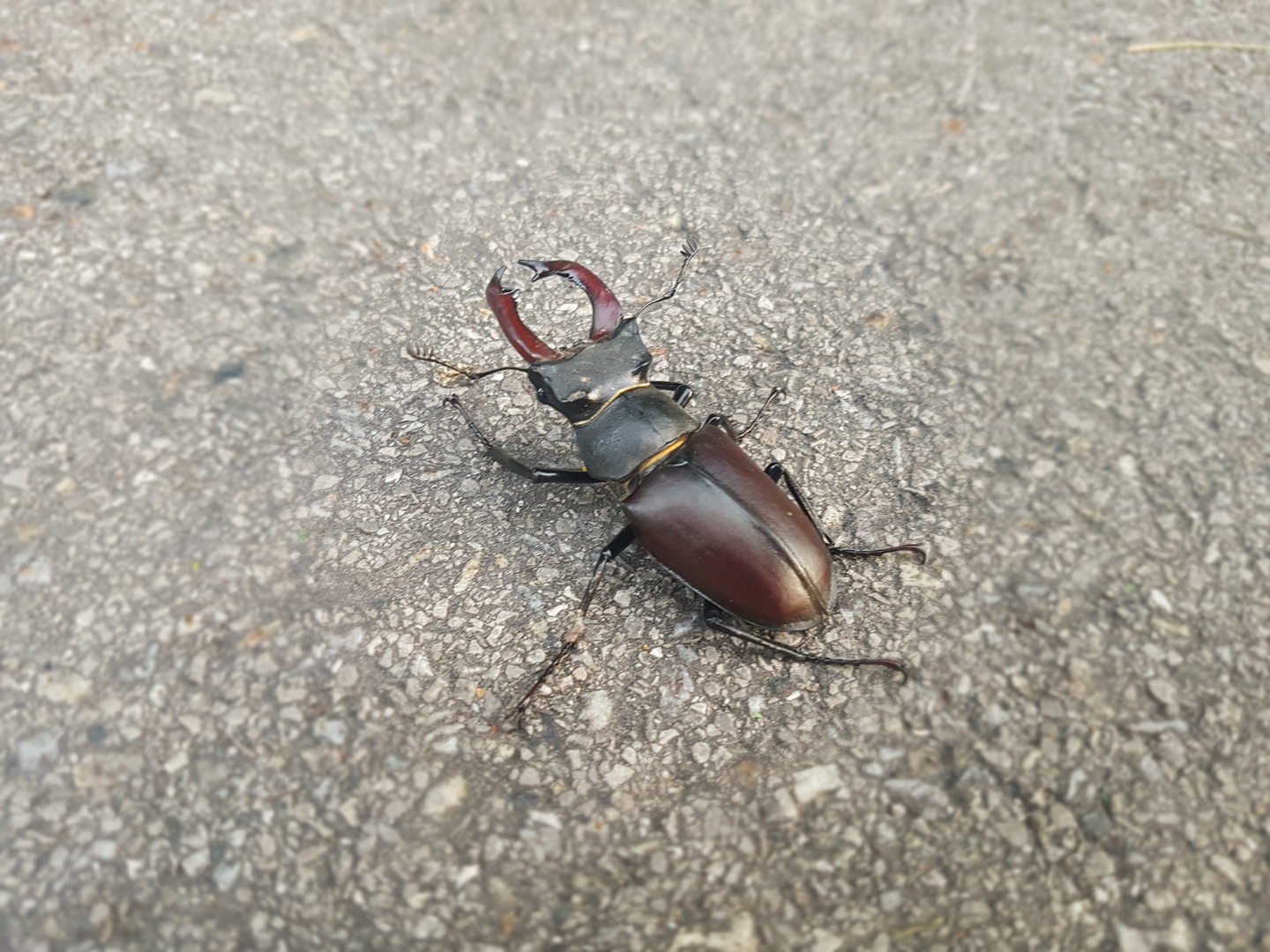 Unterwegs auf dem Radweg 