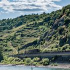 Unterwegs auf dem Rhein durch die Landschaften des Mittelrheintals