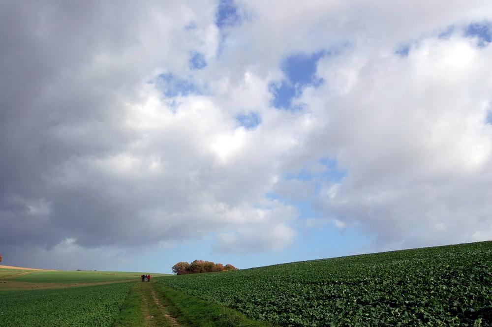 Unterwegs auf dem Rheinsteig