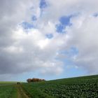 Unterwegs auf dem Rheinsteig