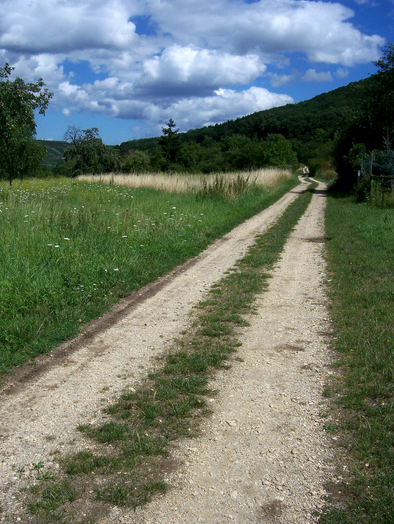 Unterwegs auf dem Rheinsteig