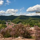 Unterwegs auf dem Rimbachsteig (Premiumwanderweg), hier der Blick vom Hockerstein (Wachtfels)...