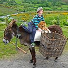 Unterwegs auf dem Ring of Kerry