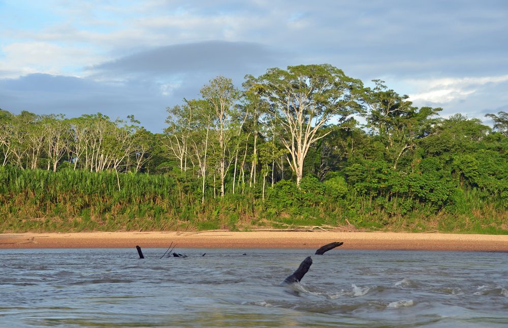 Unterwegs auf dem Rio Tambopata im Regenwald