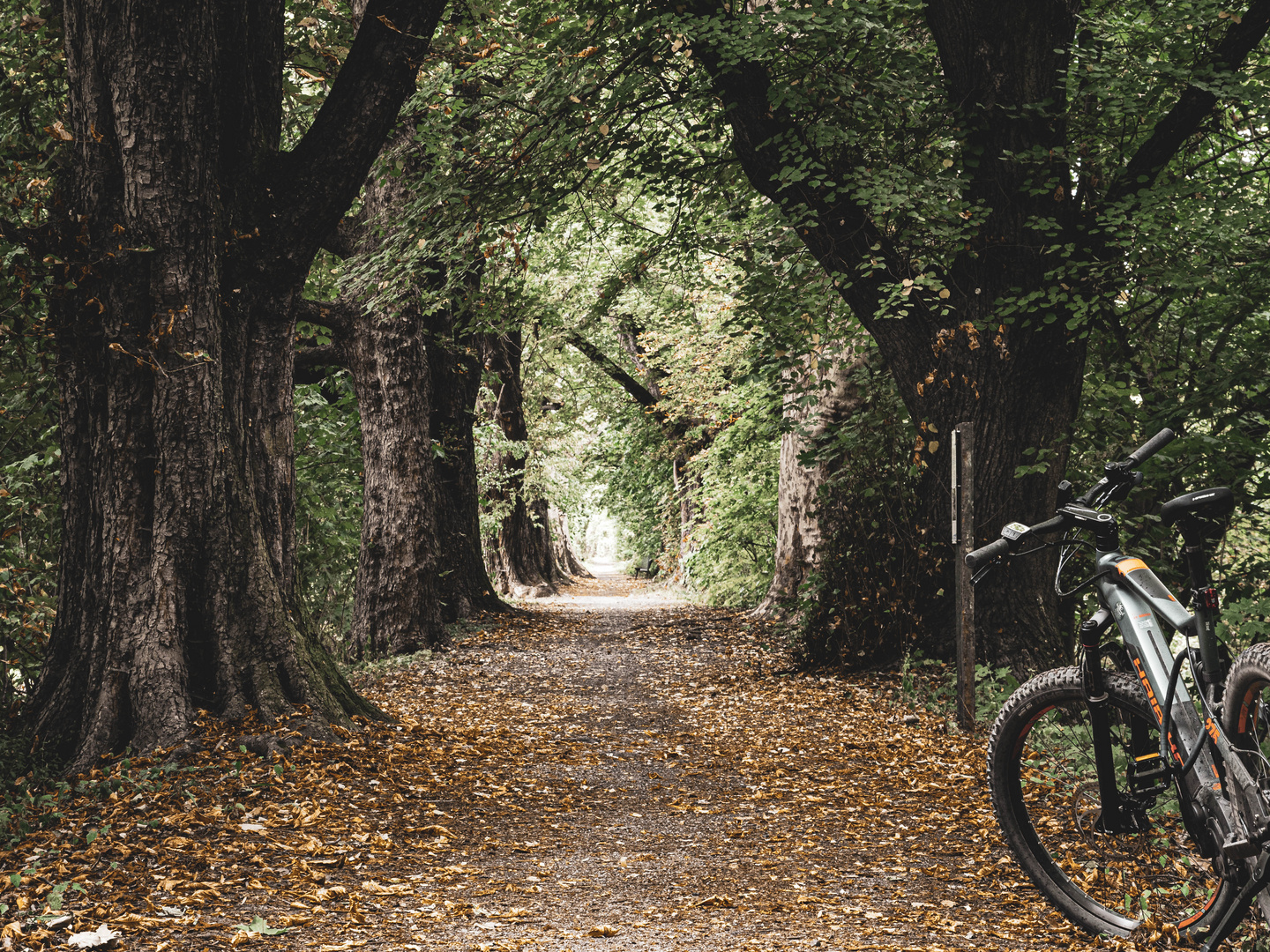 Unterwegs auf dem Salz-Sole Radweg