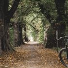 Unterwegs auf dem Salz-Sole Radweg