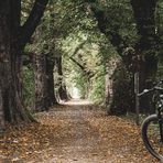 Unterwegs auf dem Salz-Sole Radweg