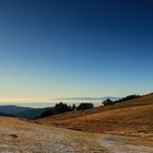 Unterwegs auf dem Schauinsland