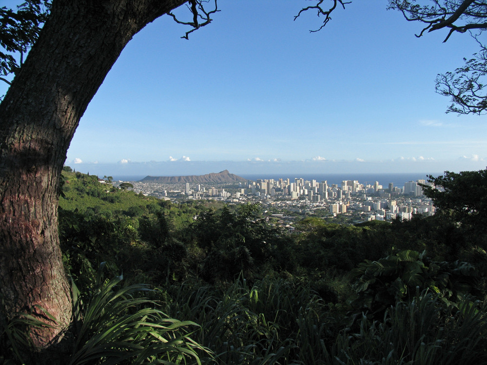 Unterwegs auf dem Tantalus Drive