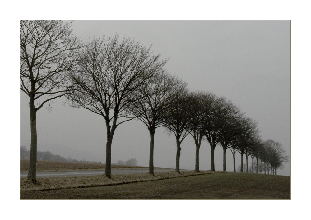 ...unterwegs, auf dem Weg zum Licht... (zum 1. Advent)