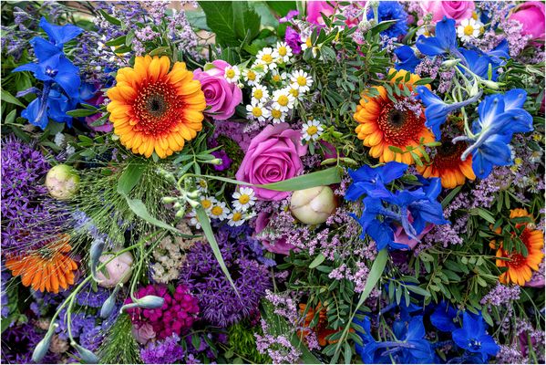 Unterwegs auf dem Wochenmarkt 06