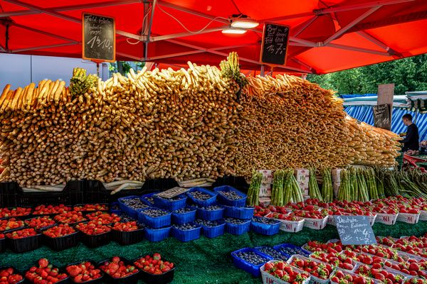 Unterwegs auf dem Wochenmarkt 11
