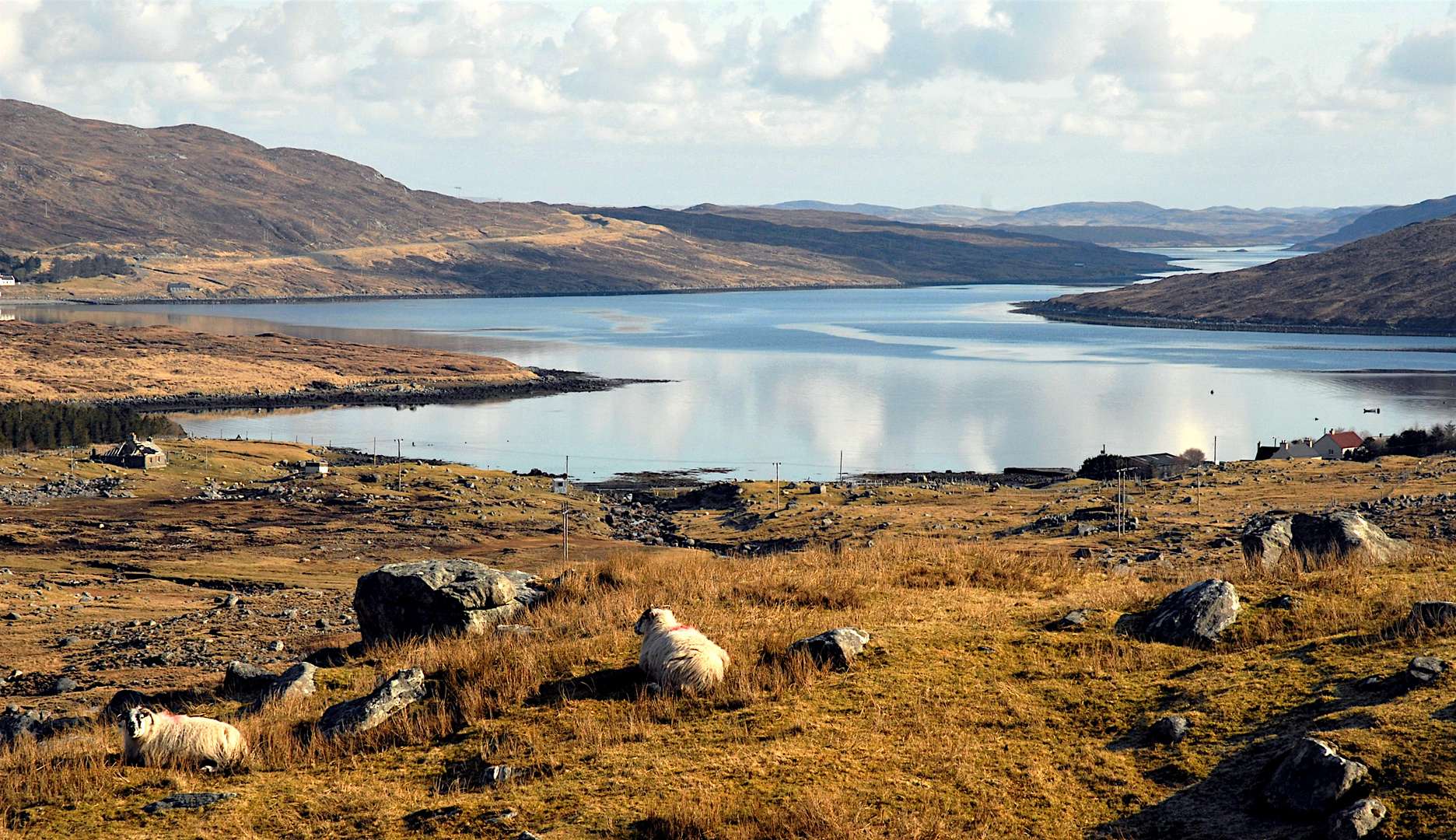 Unterwegs auf den Hebriden - Loch Seaforth (Isle of Lewis)