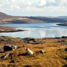 Unterwegs auf den Hebriden - Loch Seaforth (Isle of Lewis)