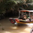 Unterwegs auf den kleinen Flüssen auf einer Insel im Mekong Delta