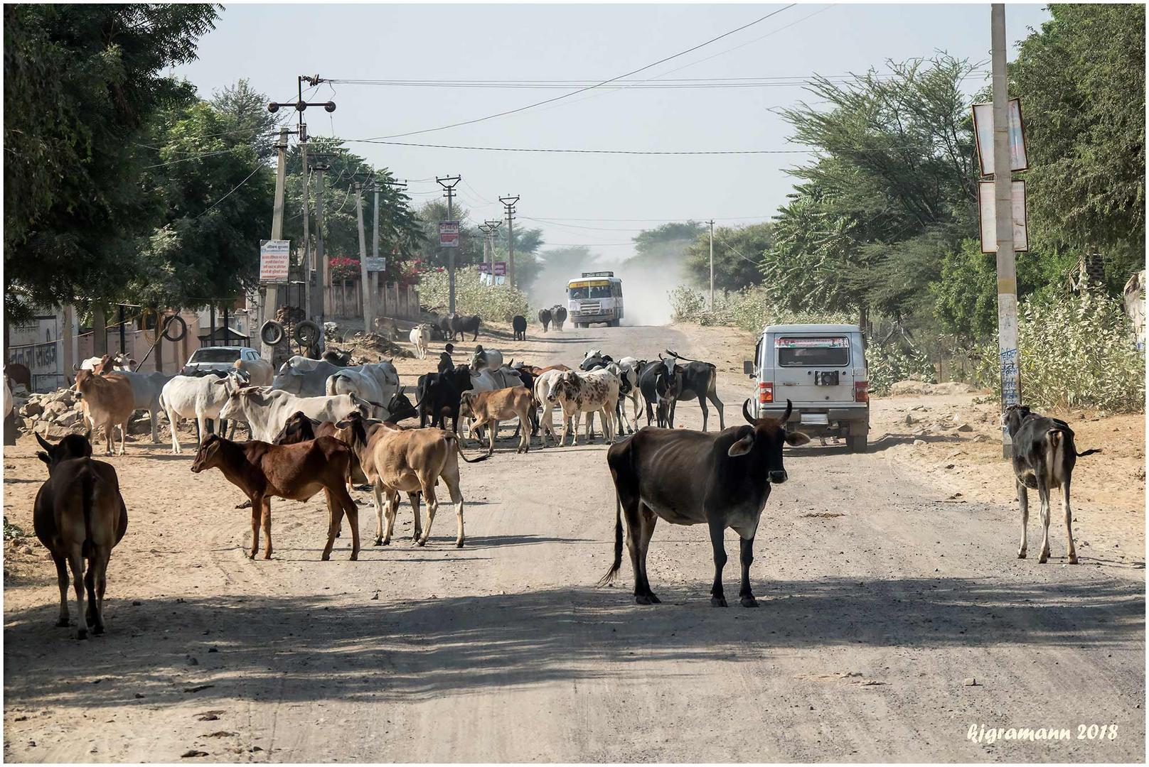 unterwegs auf den strassen in rajasthan.....