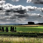 Unterwegs auf der Autobahn