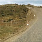 unterwegs auf der berühmten Carretera Austral.....................