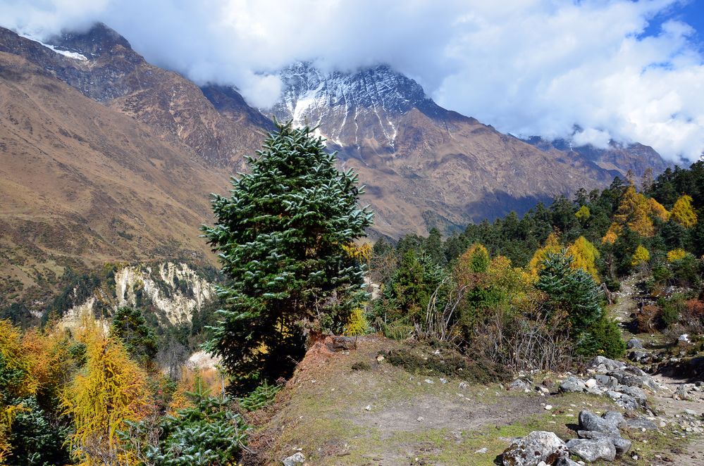 Unterwegs auf der Manaslu-Runde