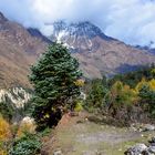 Unterwegs auf der Manaslu-Runde