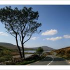 Unterwegs auf der N59 bei Mallaranny (Mulranny) - Irland, County Mayo