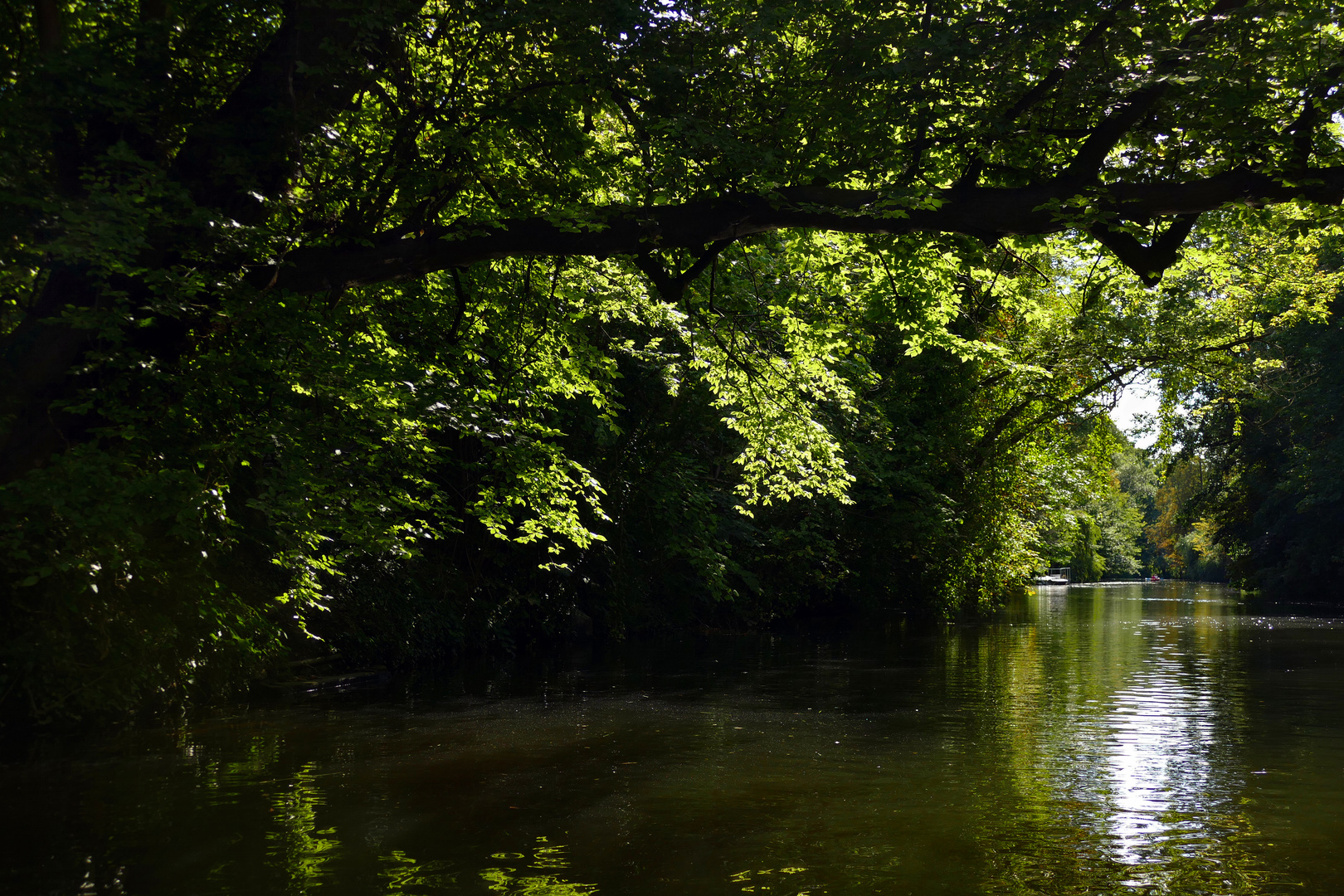 Unterwegs auf der Oker