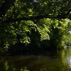 Unterwegs auf der Oker