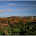 Unterwegs auf der R319 bei Cashel - Achill Island, Irland County Mayo