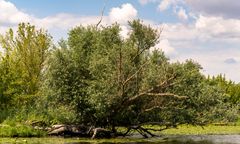 Unterwegs auf der Unterhavel