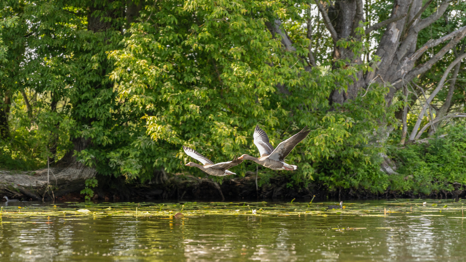 Unterwegs auf der Unterhavel